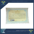 Degree Certificate with Watermark and Hot Stamping Label